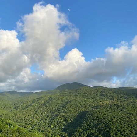 Tranquillite Vert ปวงต์-นัวร์ ภายนอก รูปภาพ
